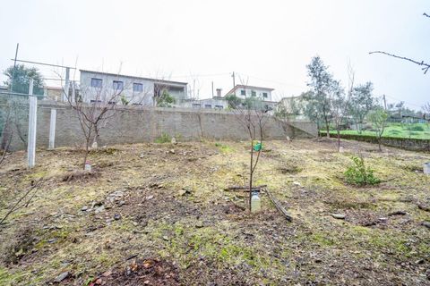 Villa i Gois, Coimbra, Gois - € 79.000 | Ref: C0289-01661 - foto 24