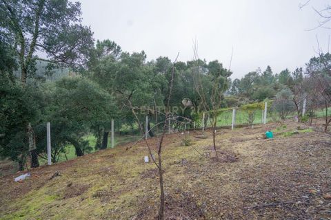 Villa i Gois, Coimbra, Gois - € 79.000 | Ref: C0289-01661 - foto 33
