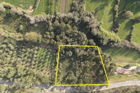Helårsgrund i Miranda do Corvo, Coimbra, Miranda do Corvo - € 43.000 | Ref: C0289-01657 - foto 14