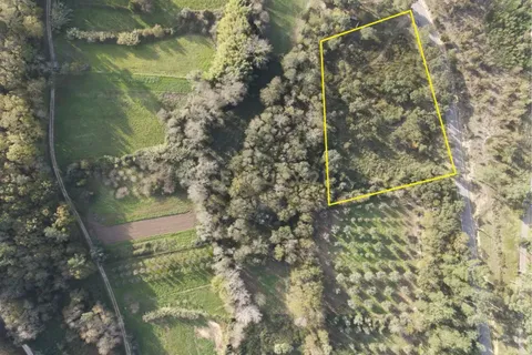 Helårsgrund i Miranda do Corvo, Coimbra, Miranda do Corvo - € 43.000 | Ref: C0289-01657 - foto 17