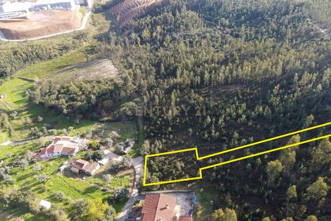 Helårsgrund i Lousa, Coimbra, Lousa - € 41.000 | Ref: C0289-01807 - foto 5
