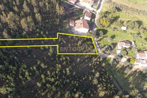 Helårsgrund i Lousa, Coimbra, Lousa - € 41.000 | Ref: C0289-01807 - foto 8