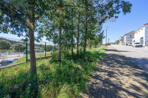Helårsgrund i Lousa, Coimbra, Lousa - € 37.500 | Ref: C0289-01720 - foto 17