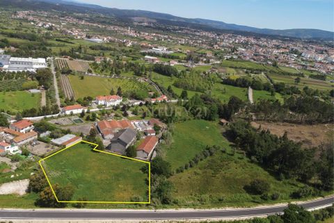 Helårsgrund i Lousa, Coimbra, Lousa - € 60.000 | Ref: C0289-01805 - foto 4