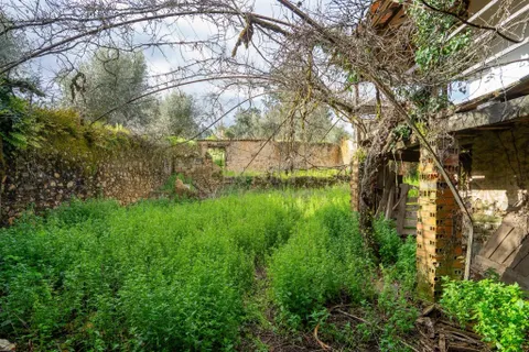Villa i Miranda do Corvo, Coimbra, Miranda do Corvo - € 60.000 | Ref: C0289-01781 - foto 18