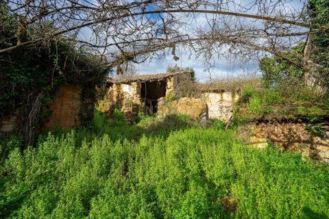 Villa i Miranda do Corvo, Coimbra, Miranda do Corvo - € 60.000 | Ref: C0289-01781 - foto 19