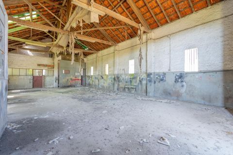 Erhvervsejendom i Santo Andre, Setubal, Santo Andre - € 55.000 | Ref: C0289-01797 - foto 9