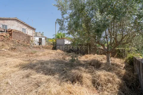 Helårsgrund i Penela, Coimbra, Penela - € 27.500 | Ref: C0289-01839 - foto 14
