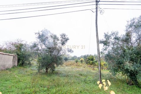 Helårsgrund i Santo Andre, Setubal, Santo Andre - € 68.500 | Ref: C0289-01891 - foto 5