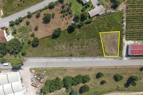 Helårsgrund i Santo Andre, Setubal, Santo Andre - € 30.000 | Ref: C0289-01897 - foto 7