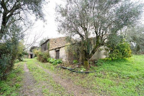 Villa a Santo Andre, Setubal, Santo Andre - € 450.000 | Ref: C0289-01928 - foto 14