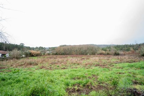 Villa a Santo Andre, Setubal, Santo Andre - € 450.000 | Ref: C0289-01928 - foto 17