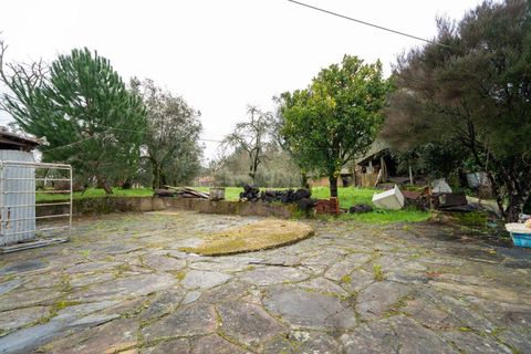 Villa a Santo Andre, Setubal, Santo Andre - € 450.000 | Ref: C0289-01928 - foto 20