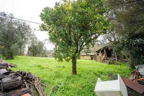 Villa a Santo Andre, Setubal, Santo Andre - € 450.000 | Ref: C0289-01928 - foto 28