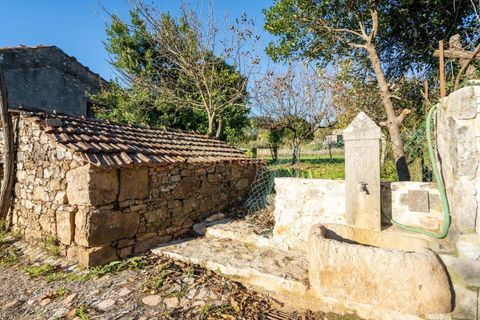 Villa i Penela, Coimbra, Penela - € 99.000 | Ref: C0289-01909 - foto 9