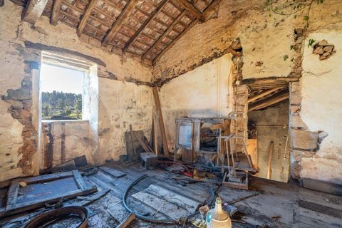 Villa i Penela, Coimbra, Penela - € 99.000 | Ref: C0289-01909 - foto 12