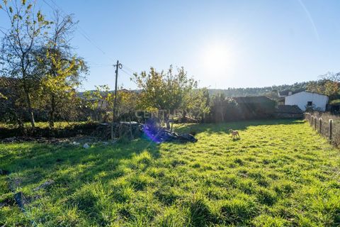 Villa i Penela, Coimbra, Penela - € 99.000 | Ref: C0289-01909 - foto 13