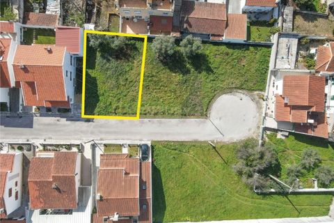 Helårsgrund i Lousa, Coimbra, Lousa - € 65.000 | Ref: C0289-01916 - foto 35