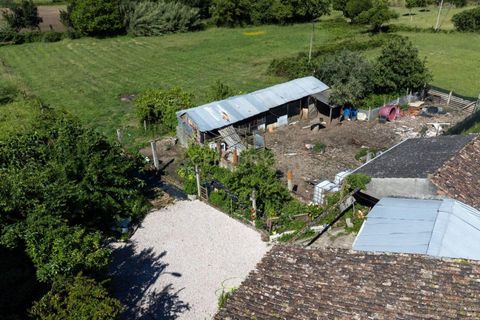 Villa i Lousa, Coimbra, Lousa - € 97.500 | Ref: C0289-02013 - foto 22