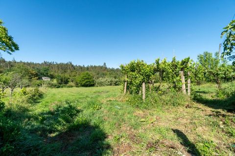 Villa i Lousa, Coimbra, Lousa - € 97.500 | Ref: C0289-02013 - foto 25