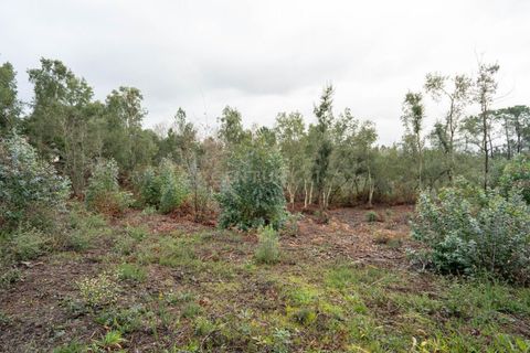 Helårsgrund i Santo Andre, Setubal, Santo Andre - € 58.000 | Ref: C0289-01946 - foto 3