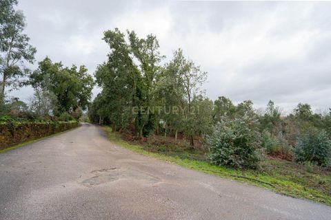 Helårsgrund i Santo Andre, Setubal, Santo Andre - € 58.000 | Ref: C0289-01946 - foto 4