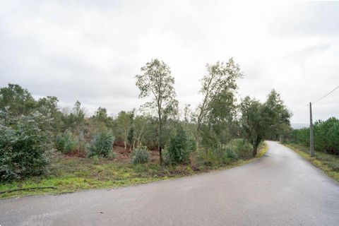 Helårsgrund i Santo Andre, Setubal, Santo Andre - € 58.000 | Ref: C0289-01946 - foto 5