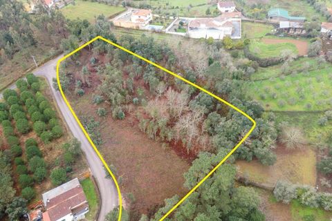Helårsgrund i Santo Andre, Setubal, Santo Andre - € 58.000 | Ref: C0289-01946 - foto 8