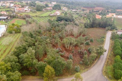 Helårsgrund i Santo Andre, Setubal, Santo Andre - € 58.000 | Ref: C0289-01946 - foto 9