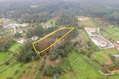 Helårsgrund i Santo Andre, Setubal, Santo Andre - € 58.000 | Ref: C0289-01946 - foto 13