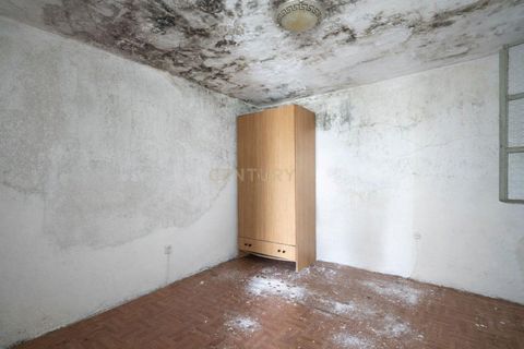 Villa i Coimbra, Coimbra, Coimbra - € 395.000 | Ref: C0289-01959 - foto 47