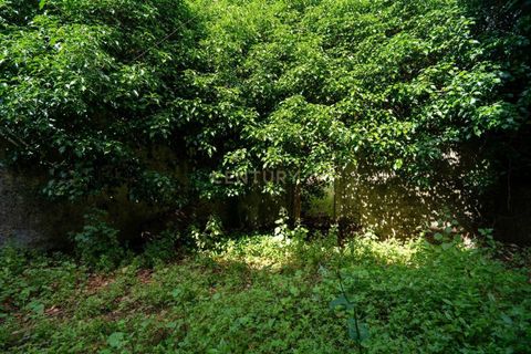 Villa i Lousa, Coimbra, Lousa - € 140.000 | Ref: C0289-02020 - foto 14