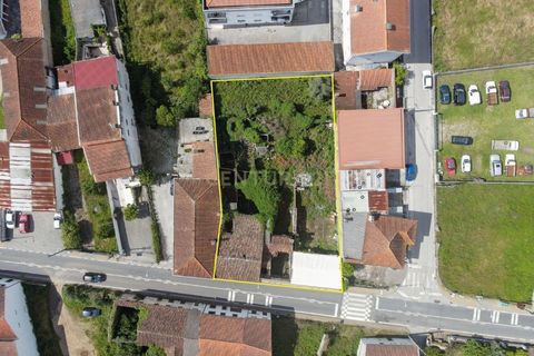 Villa i Lousa, Coimbra, Lousa - € 140.000 | Ref: C0289-02020 - foto 29