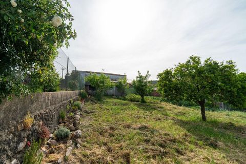 Villa i Santo Andre, Setubal, Santo Andre - € 39.000 | Ref: C0289-02019 - foto 11