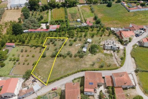 Helårsgrund i Lousa, Coimbra, Lousa - € 37.500 | Ref: C0289-02029 - foto 4