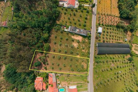 Helårsgrund i Arganil, Coimbra, Arganil - € 49.000 | Ref: C0289-02035 - foto 3