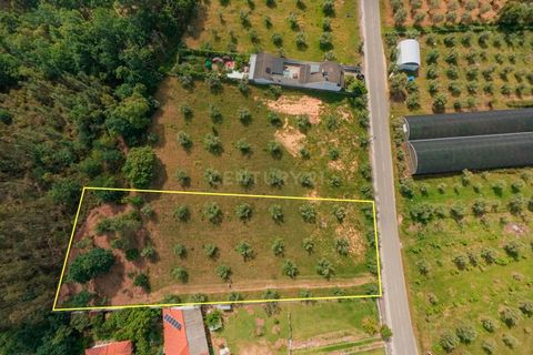 Helårsgrund i Arganil, Coimbra, Arganil - € 49.000 | Ref: C0289-02035 - foto 4