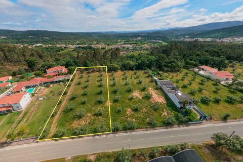 Helårsgrund i Arganil, Coimbra, Arganil - € 49.000 | Ref: C0289-02035 - foto 5