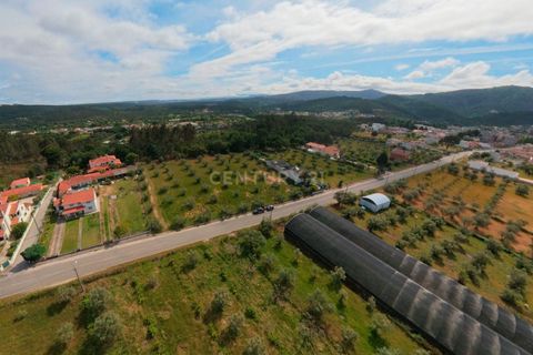 Helårsgrund i Arganil, Coimbra, Arganil - € 49.000 | Ref: C0289-02035 - foto 8