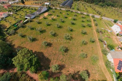 Helårsgrund i Arganil, Coimbra, Arganil - € 49.000 | Ref: C0289-02035 - foto 13