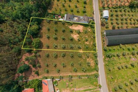 Helårsgrund i Arganil, Coimbra, Arganil - € 85.000 | Ref: C0289-02036 - foto 3