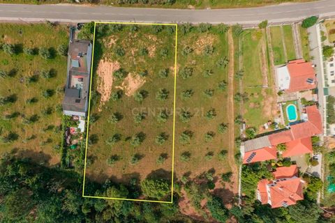 Helårsgrund i Arganil, Coimbra, Arganil - € 85.000 | Ref: C0289-02036 - foto 4