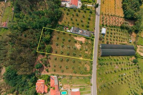 Helårsgrund i Arganil, Coimbra, Arganil - € 85.000 | Ref: C0289-02036 - foto 5