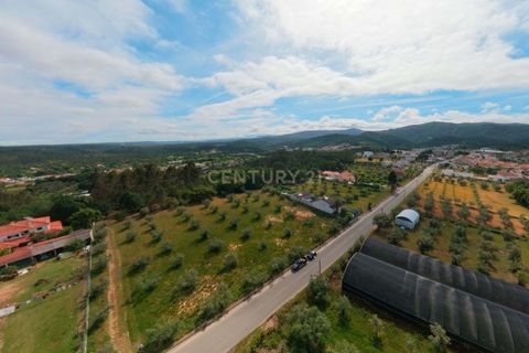 Helårsgrund i Arganil, Coimbra, Arganil - € 85.000 | Ref: C0289-02036 - foto 7