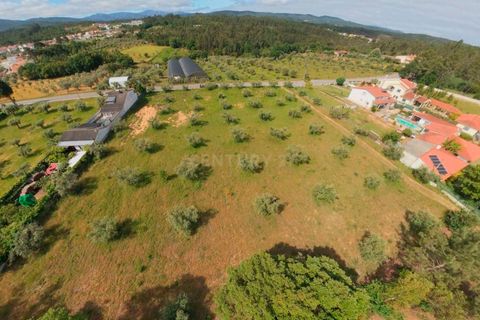 Helårsgrund i Arganil, Coimbra, Arganil - € 85.000 | Ref: C0289-02036 - foto 10