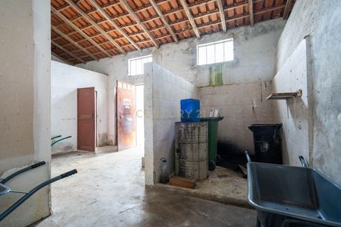 Villa i Lousa, Coimbra, Lousa - € 99.500 | Ref: C0289-01927 - foto 43