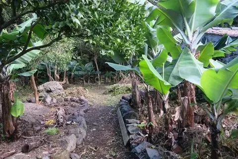 Villa i Lagens, Terceira, Lagens - € 160.000 | Ref: C0519-00147 - foto 16