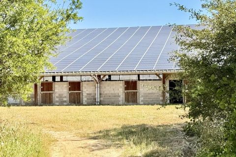 Villa a Bollène, Vaucluse, Bollène - € 1.365.000 | Ref: 2815-ANG - foto 23