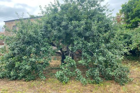 Helårsgrund i Bela, Viana do Castelo, Bela - € 34.000 | Ref: UNU-09-7 - foto 2
