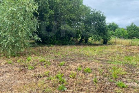 Helårsgrund i Bela, Viana do Castelo, Bela - € 34.000 | Ref: UNU-09-7 - foto 3